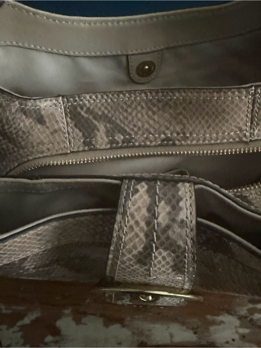 Coach Python Embossed Hobo Bag - Picture 11 of 11